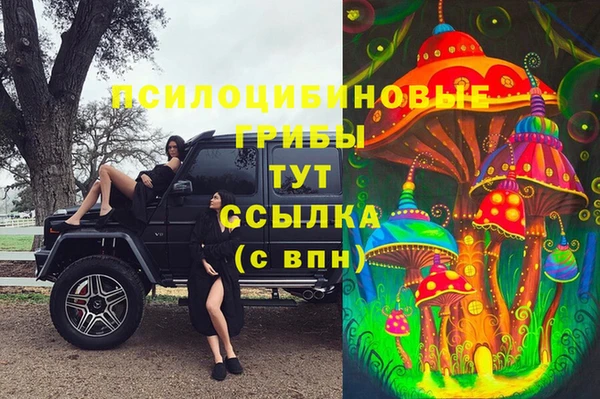 шишки Балахна