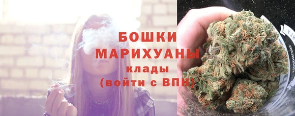 шишки Балахна