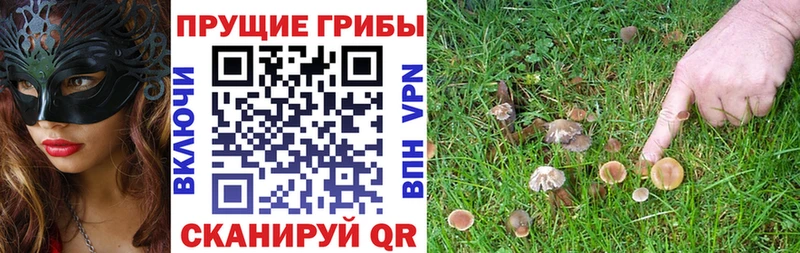 Галлюциногенные грибы мухоморы  Белогорск 